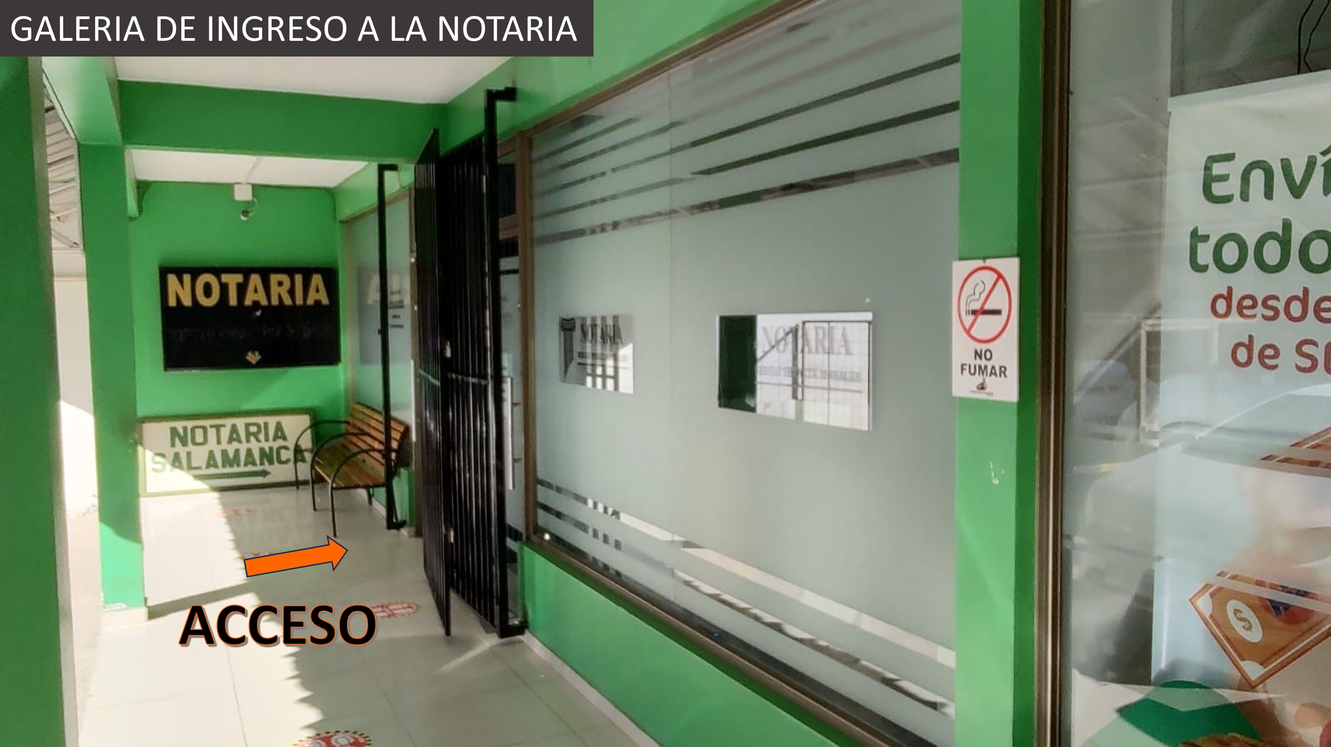 Imagen 5